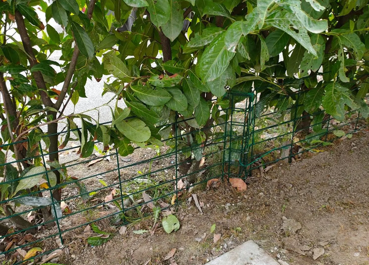 Le Nid Savoyard Apartment Faverges